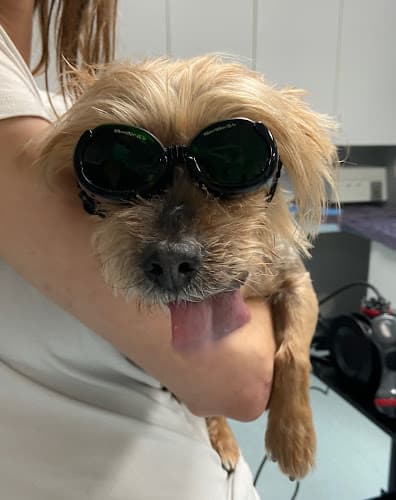 Background for Indian Peaks Veterinary Hospital