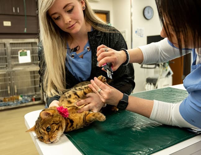 West Fargo Animal Hospital
