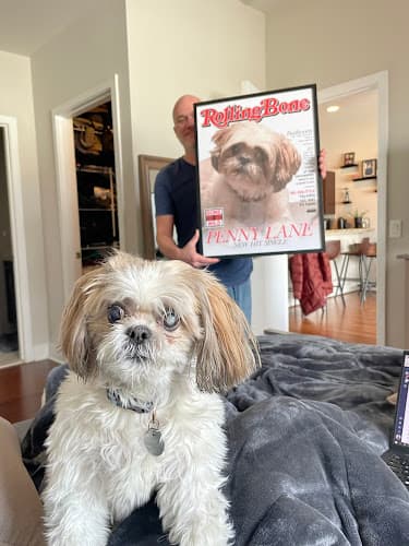 Background for Ocean View Veterinary Hospital