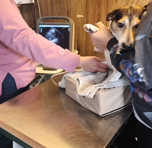 Henderson County Animal Clinic