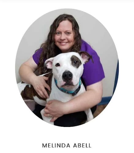 Background for Smith Veterinary Hospital