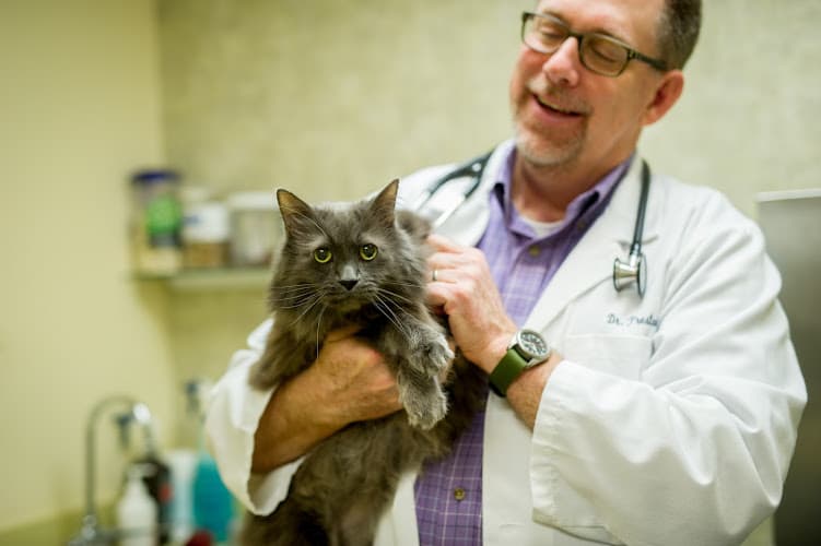 Fremont Veterinary Clinic