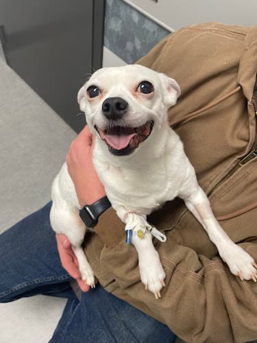 Partner Veterinary Emergency & Specialty Center - Frederick