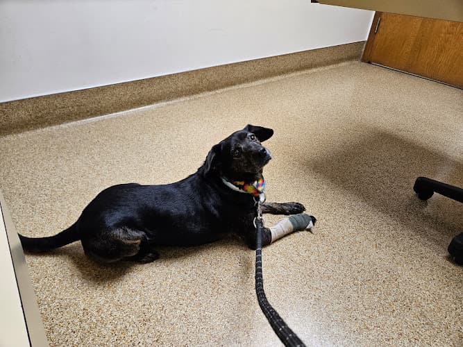 Akron-Peninsula Veterinary Office