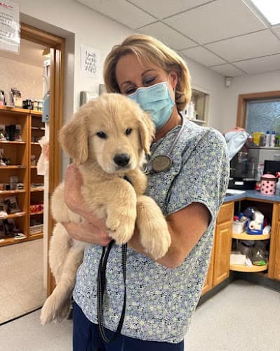 Background for Maple Hills Veterinary Hospital