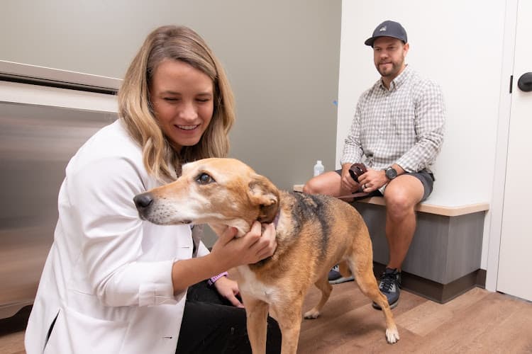 Background for GoodVets Montford