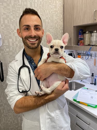 Background for Heart of Chelsea Veterinary Group - Hell's Kitchen