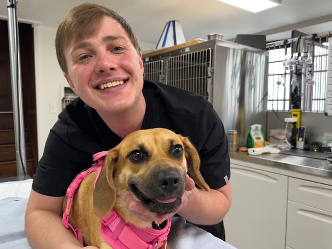 Background for Holicong Valley Veterinary Center