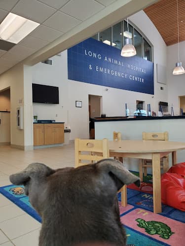 Background for Long Animal Hospital and Emergency Center | Charlotte NC