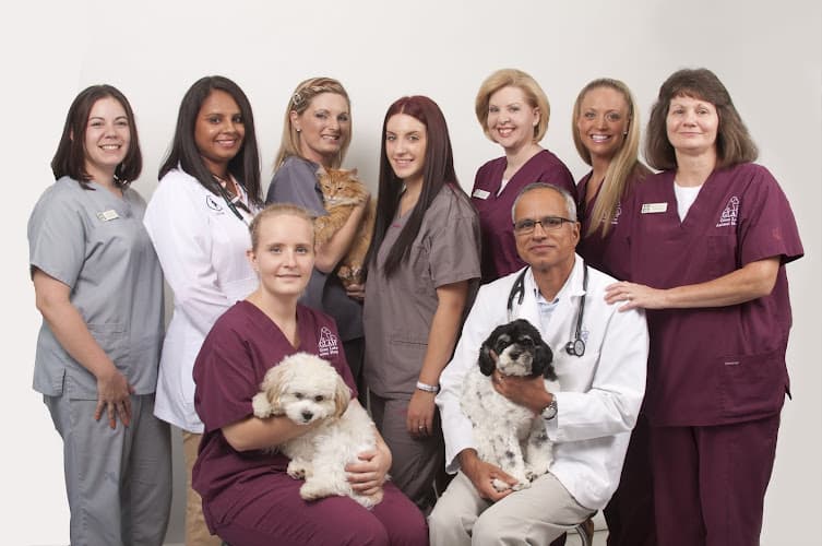 Background for Great Lakes Animal Hospital