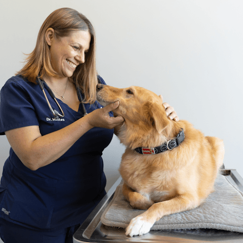 City Paws Veterinary Clinic