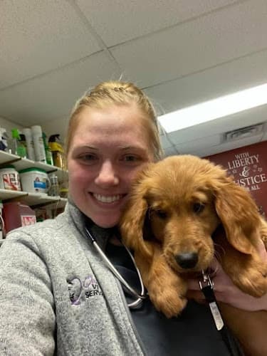 Background for Oakley Veterinary Service