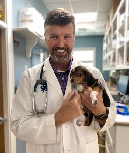 Santee Animal Hospital