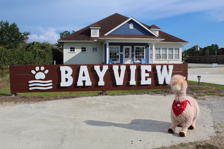Bayview Veterinary Hospital