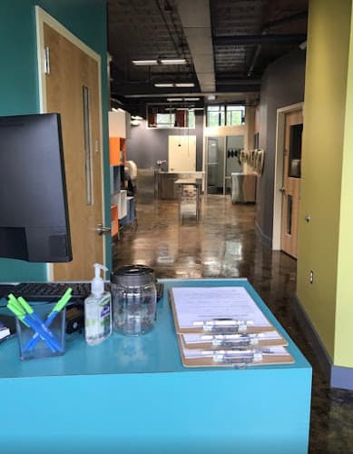 Background for Value Vet- By Appointment