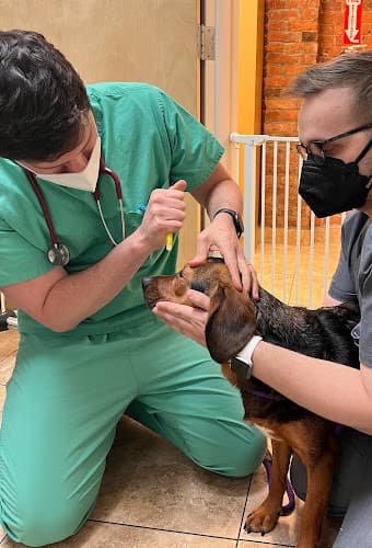 Abingdon Square Veterinary Clinic