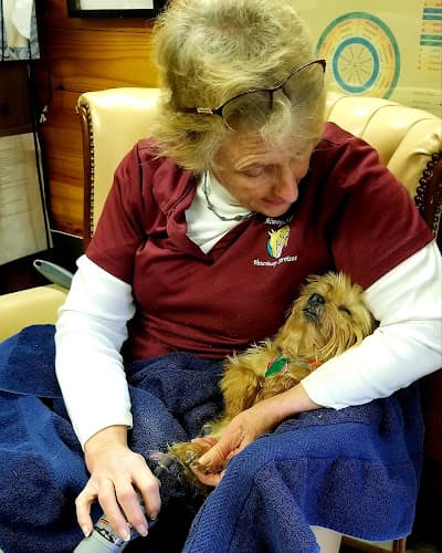Always Helpful Veterinary Services