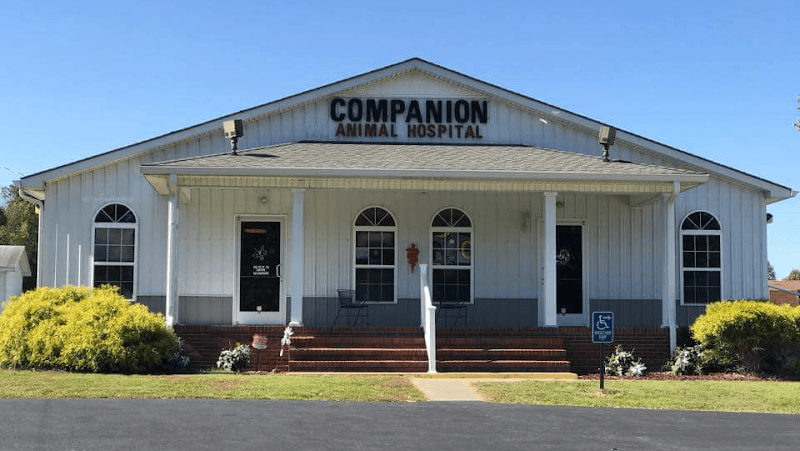 Background for Companion Animal Hospital. Paul Jaco DVM