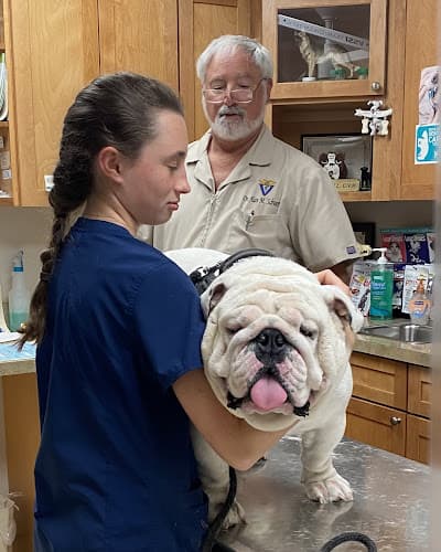 Background for Cove Mountain Animal Hospital