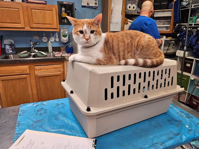 Buffalo Trace Veterinary Services
