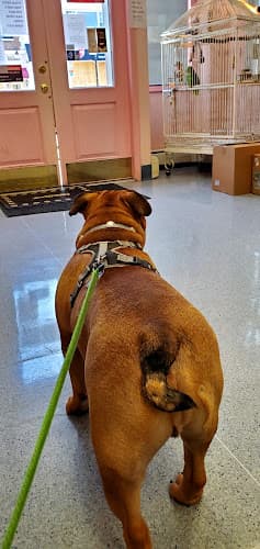 Background for Hoboken Animal Hospital