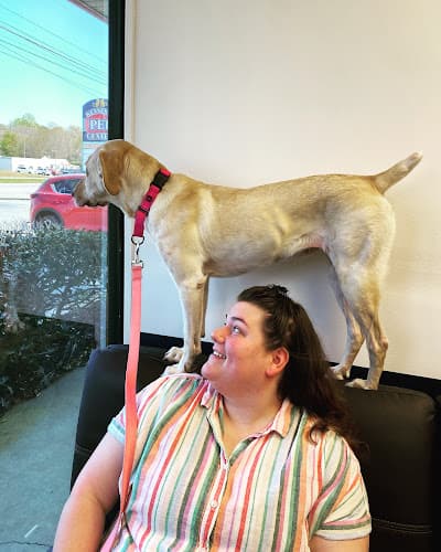 Background for Kennesaw Pet Center