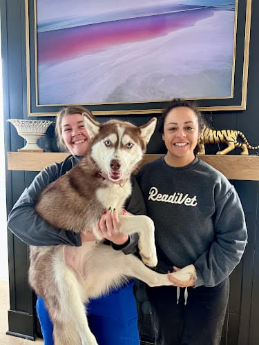 ReadiVet Nashville, Mobile Vet Services