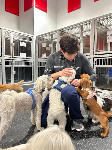 Parker & Ace Veterinary Care