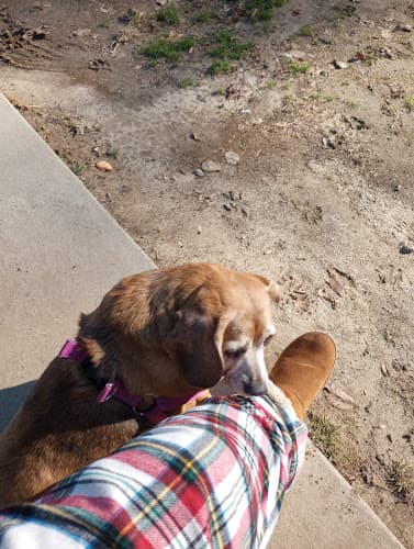 Background for Kindred Spirit