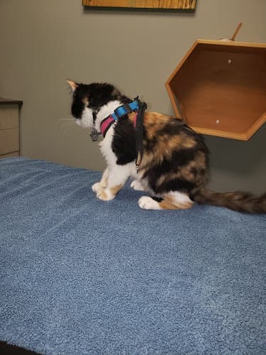 Irvington Veterinary Clinic