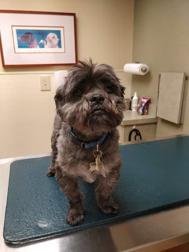 Background for Cincinnati Animal Medical Center