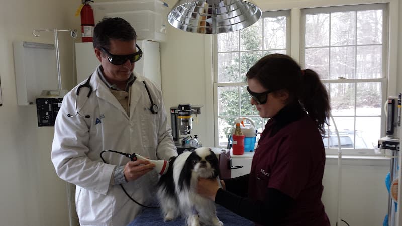 Armadale Animal Hospital