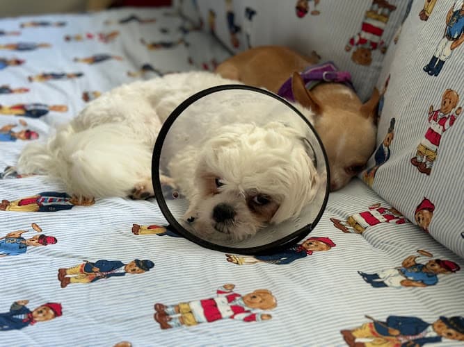 Clarksville Veterinary Clinic