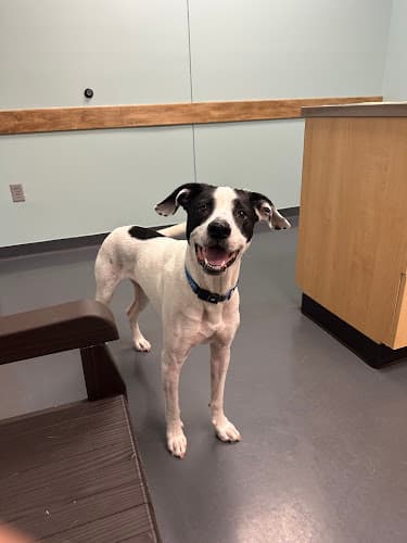 Mill Creek Veterinary Clinic