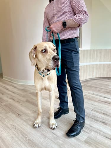 Background for Petfolk Veterinary & Urgent Care - North Hills