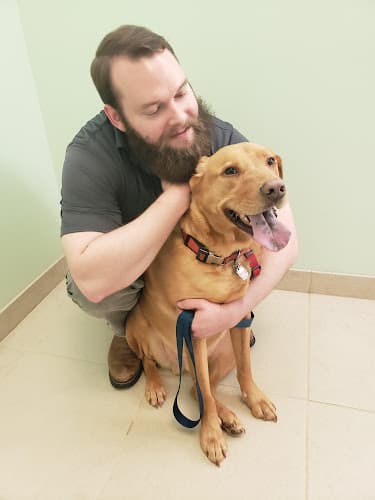 Background for VCA Indian Land Animal Hospital