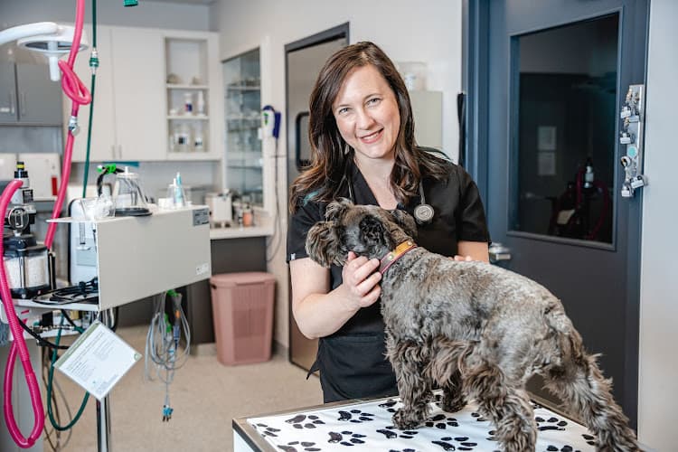 Background for GoodVets LoHi