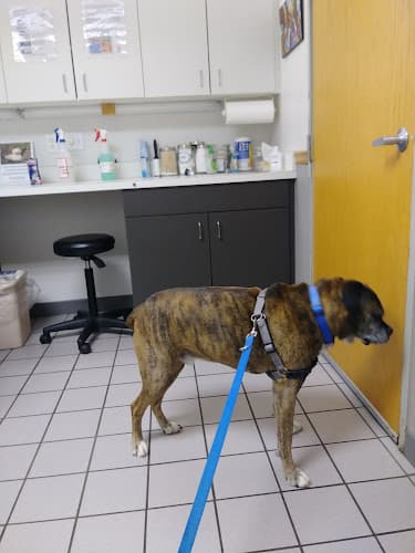 Background for VCA Sheridan Animal Hospital