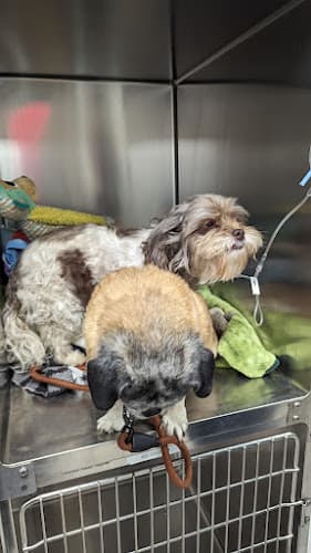 Background for Kanawha Valley Veterinary Emergency Hospital