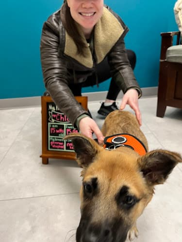 Background for The Pet's Vet North End