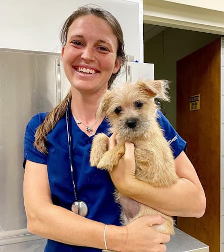 Animal Medical & Surgical Center