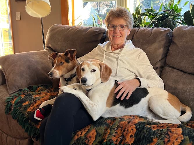 Background for Parkside Veterinary Hospital