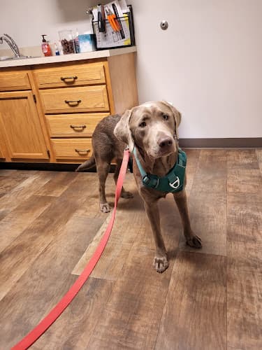 Background for Oceana Veterinary Clinic