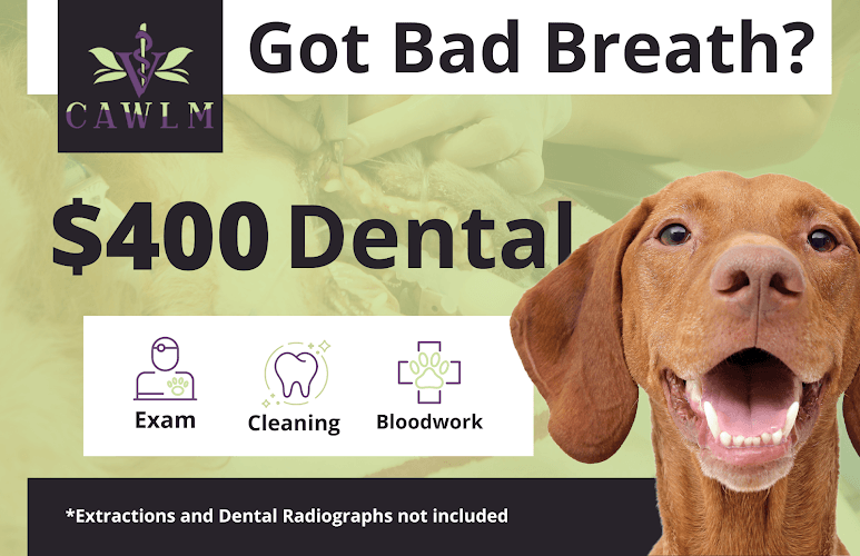 CAWLM Veterinary Hospital + Spa
