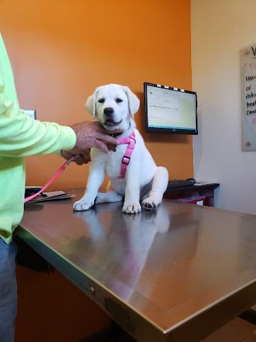 Background for Value Vet Lawrenceville